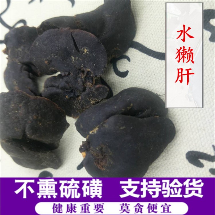 中藥材批發(fā) 水獺肝 水狗肝 獺肝 藥食兩用 支持藥檢 量大從優(yōu)