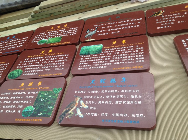 定制花草植物銘牌 校園寺廟公園樹牌簡(jiǎn)介說(shuō)明 防腐木質(zhì)UV噴繪刻字