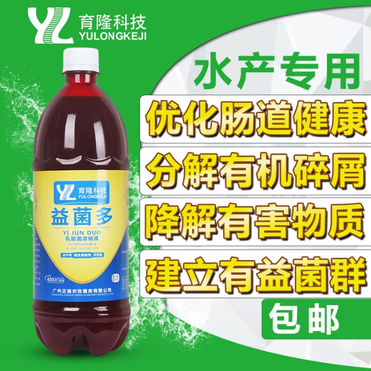 育隆益菌多水產(chǎn)養(yǎng)殖乳酸菌酵母菌放線菌光合細(xì)菌EM菌種促生長調(diào)水