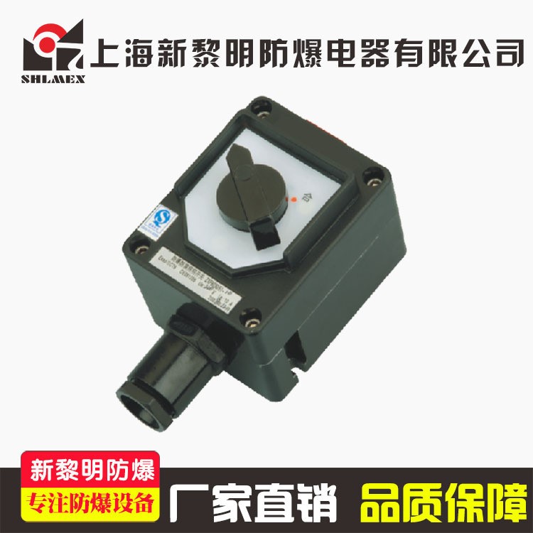 BHZ8030防爆防腐轉(zhuǎn)換開關(guān) 10A 220V 新黎明國標(biāo)