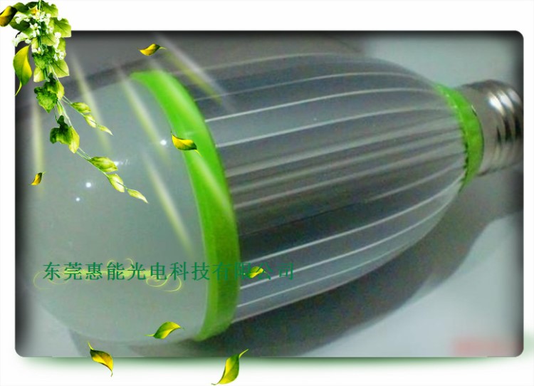 實地廠家供應中21WLED球泡燈 大功率或5730燈珠恒流驅動