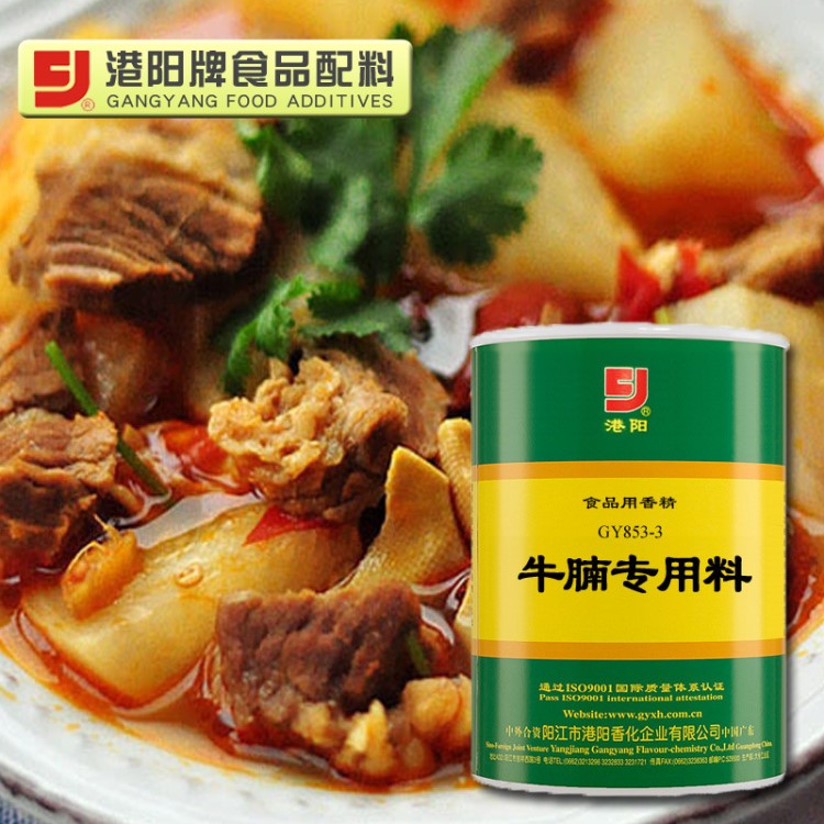 853-3牛腩專用料 牛腩牛雜類 粵菜素牛肉脯 調味料 500G