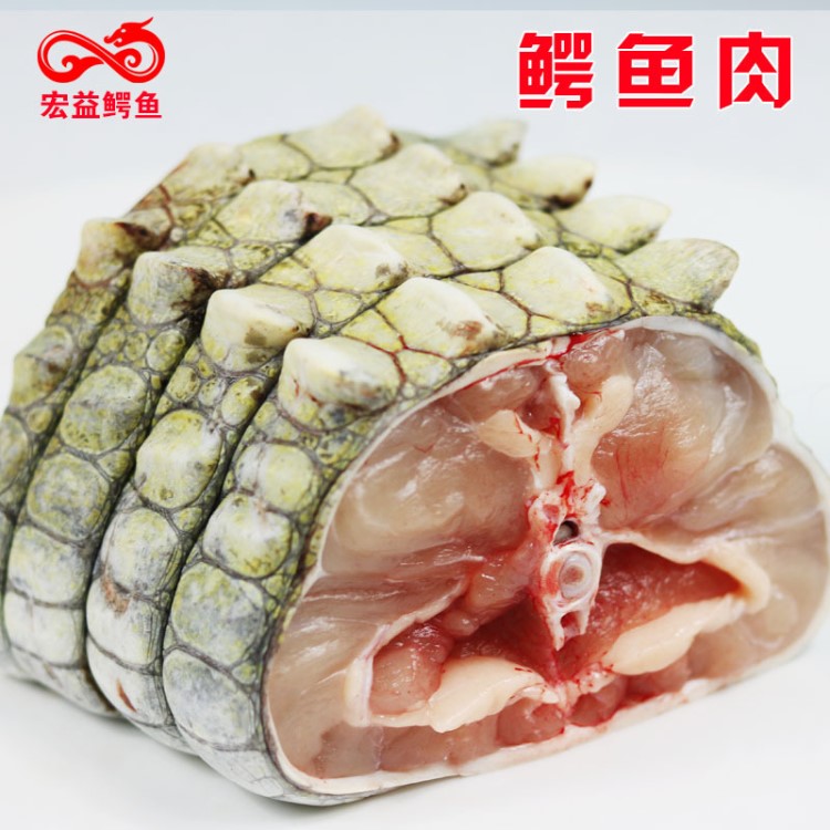 新鮮冰鮮有皮鱷魚肉批發(fā)和零售 廣東宏益鱷魚產(chǎn)業(yè)有限公司
