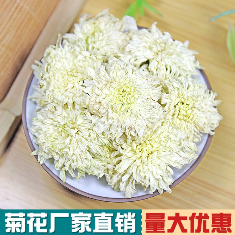 黃山貢菊花茶 七月菊 太陽菊花茶葉 白菊花茶  散裝500g 一斤批發(fā)