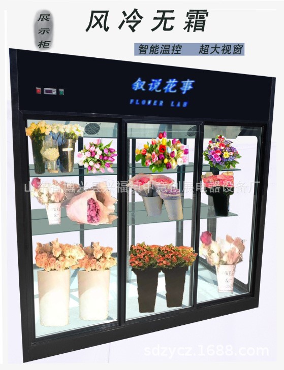 廠家直銷鮮花柜冷藏鮮花店商用風(fēng)冷鮮花保鮮藏展示柜飲料展示柜