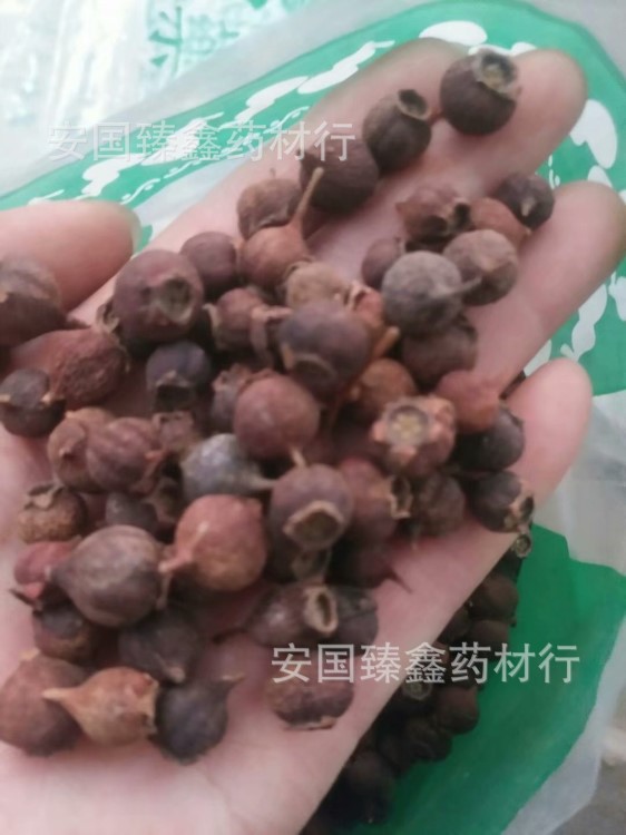 蔷薇果 玫瑰果 刺玫果 营实