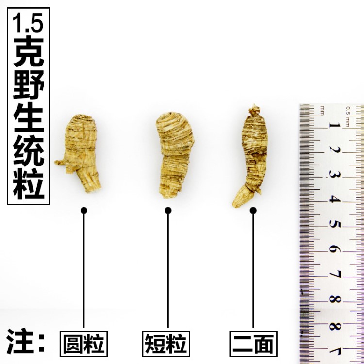 美國野山花旗參統(tǒng)粒花旗參統(tǒng)粒頭圓粒短粒二面粒規(guī)格貨裝禮盒