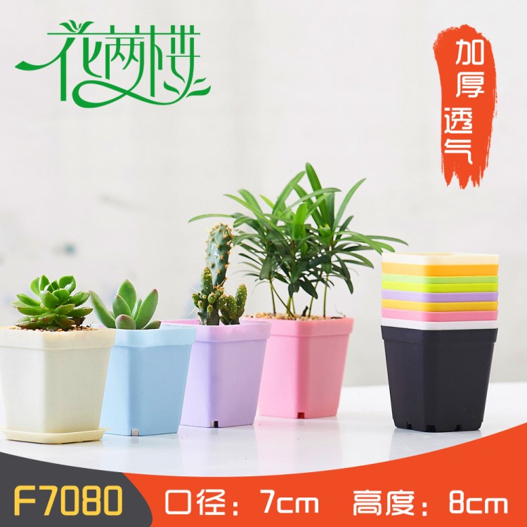 加厚小黑方 批发塑料花盆 多彩多肉花盆育苗小方盆植物塑料花盆