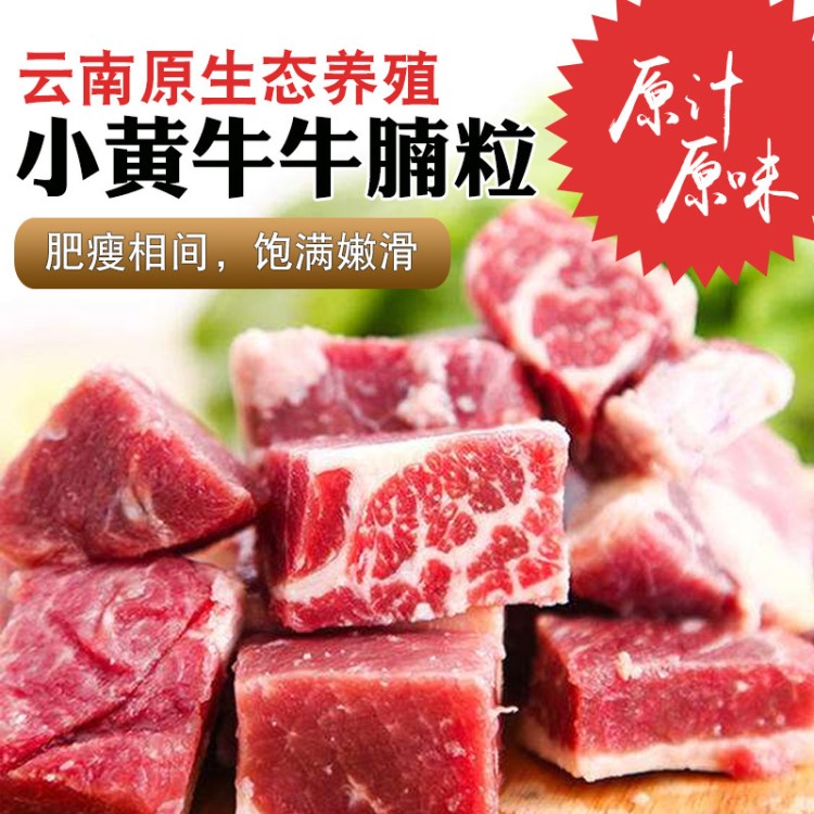 云南小黄牛雪花牛腩粒2斤新鲜牛腩块牛肉粒冷冻生牛肉餐饮