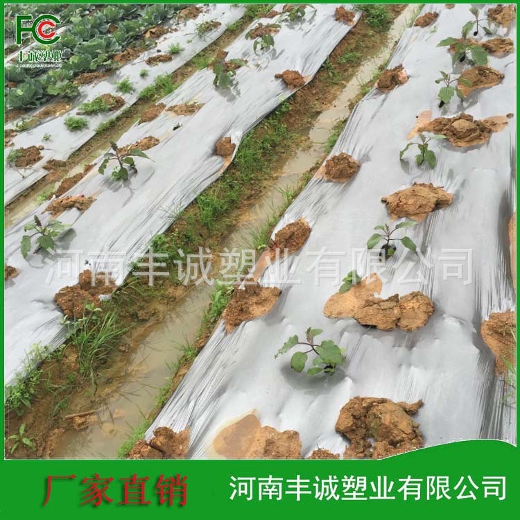 2019厂家直销银黑除草膜银黑专用除草地膜银黑双色除草膜抗老化