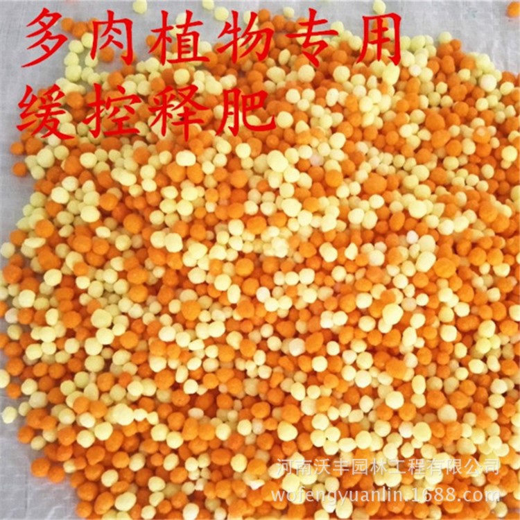 沃夫特缓控释肥 多肉植物用复合肥 双膜双控 媲美奥绿a2 500克
