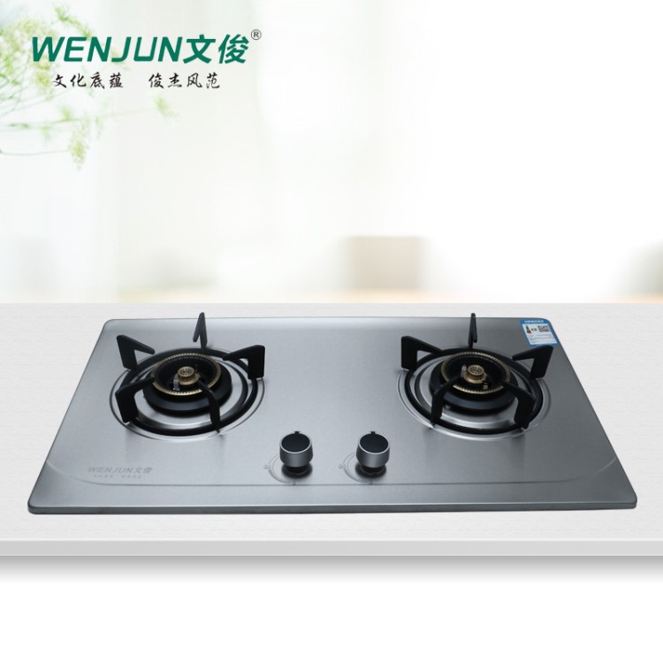 文俊廚電家用燃氣灶不銹鋼面板天然氣液化氣廠家直銷WJA319A