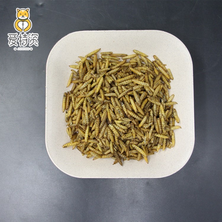 黑水虻干倉鼠糧 鳥糧雞飼料黑水虻干 昆蟲蛋白 全年養(yǎng)殖加工