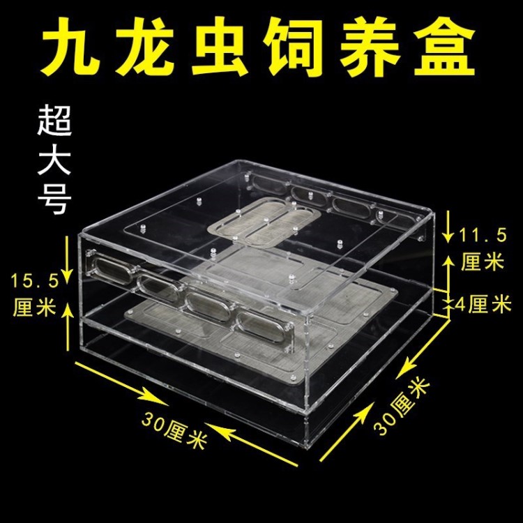 新款洋蟲蟻館九蟲飼養(yǎng)盒盒箱孵化之情壁虎九殖小肚子500面包養(yǎng)殖