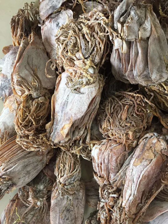 水發朝鮮魷魚干 船魚 大OK朝鮮魷魚 魷魚花 魷魚須 燒烤魷魚頭