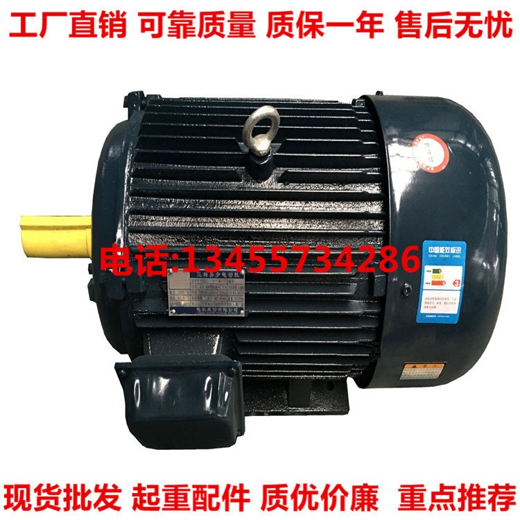山東臨清電機(jī) TYC355M1-6-160KW稀土永磁電動(dòng)機(jī)