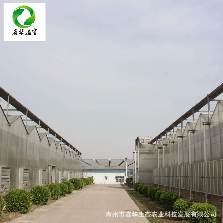 廠家生產 pc陽光板溫室大棚 日光薄膜溫室 玻璃溫室