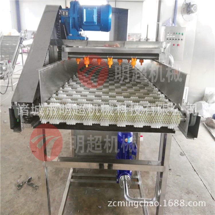 供應 明超水果拋光清洗機 檸檬/柑橘毛刷清洗設備 果蔬加工設備