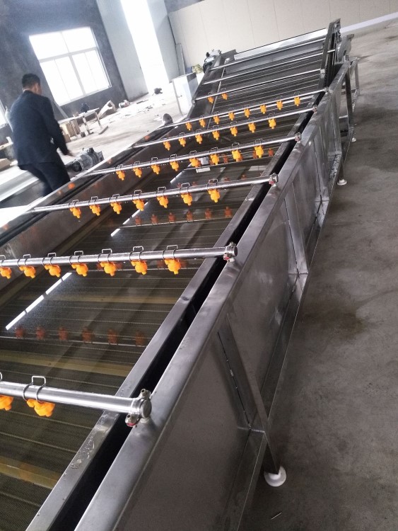 噴淋式蔬菜清洗機 白菜蘋果空心菜洗菜洗水果設備 運行穩定
