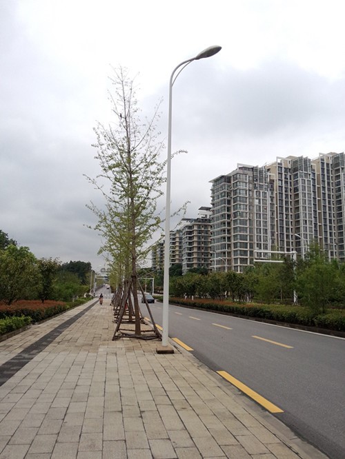 【廠家直銷】led路燈 戶外道路單臂路燈6米8米 led自彎臂道路路燈