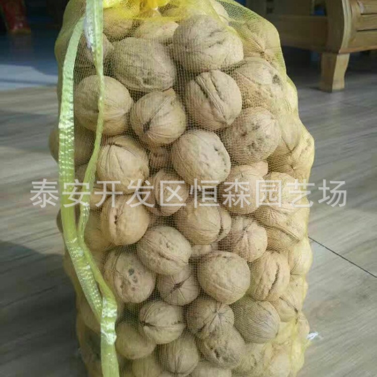 核桃树 嫁接核桃树 核桃树8518 文玩核桃 量大 价格好