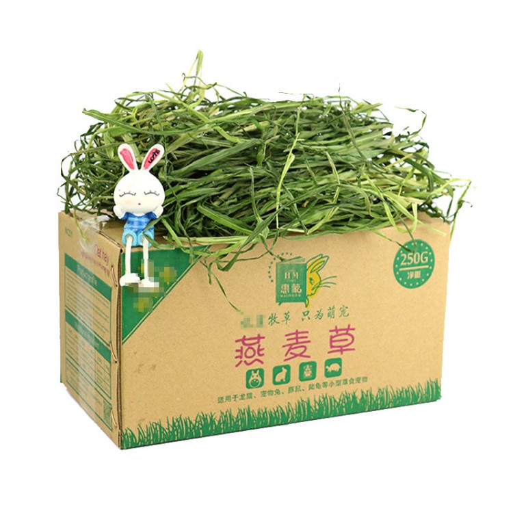 惠蒙2019烘烤绿燕麦草250g/箱 兔草龙猫荷兰猪牧草粮草