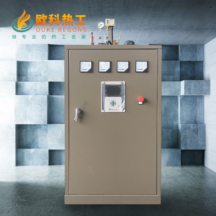 廠批免檢電蒸汽發生器服裝廠大型干洗店熨燙夾燙烘干脫水機配套用