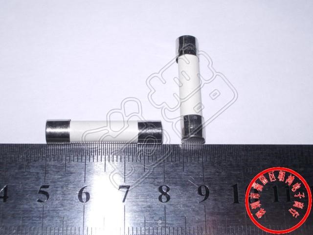 陶瓷保險管30A  250V 體積6*30  無帶引腳  F30A 快斷 陶瓷保險絲