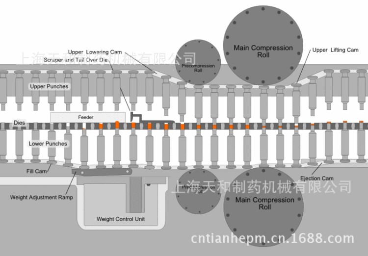 高速压片机模具旋转式压片机模具冲模