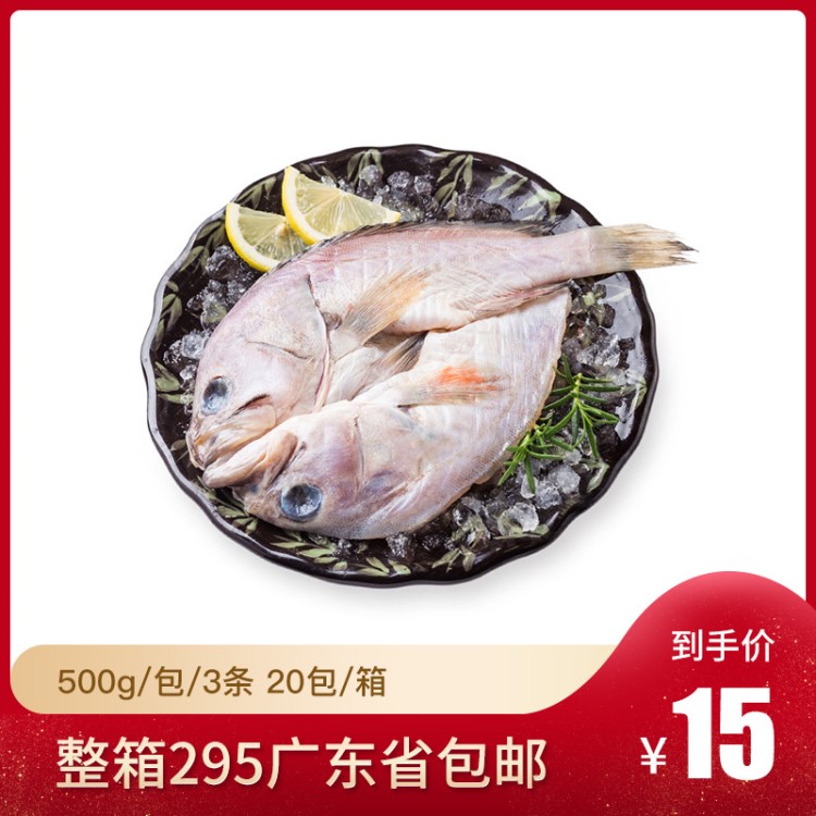 祺海小石斑魚新鮮活體速凍餐飲半成品海鮮海魚食材500g