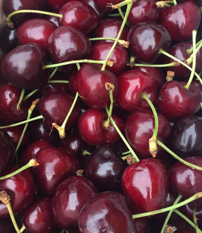 美國/加拿大/智利車厘子批發10斤/箱脆甜多汁水果一件代發