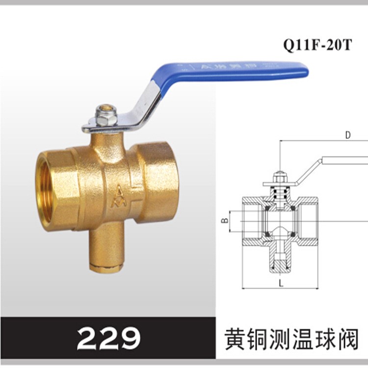 AMICO埃美柯229冷熱量表測溫球閥 DN20 DN25 DN32 DN40 DN50