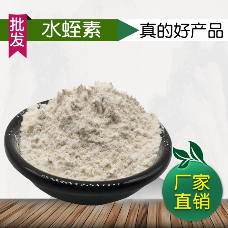 水蛭素1000ATU  水蛭提取物 水蛭凍干粉  廠家現(xiàn)貨 現(xiàn)貨包郵