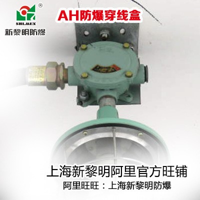 沈陽新黎明防爆接線盒AH-G1DN25電纜直通三通彎通接線盒大量銷售