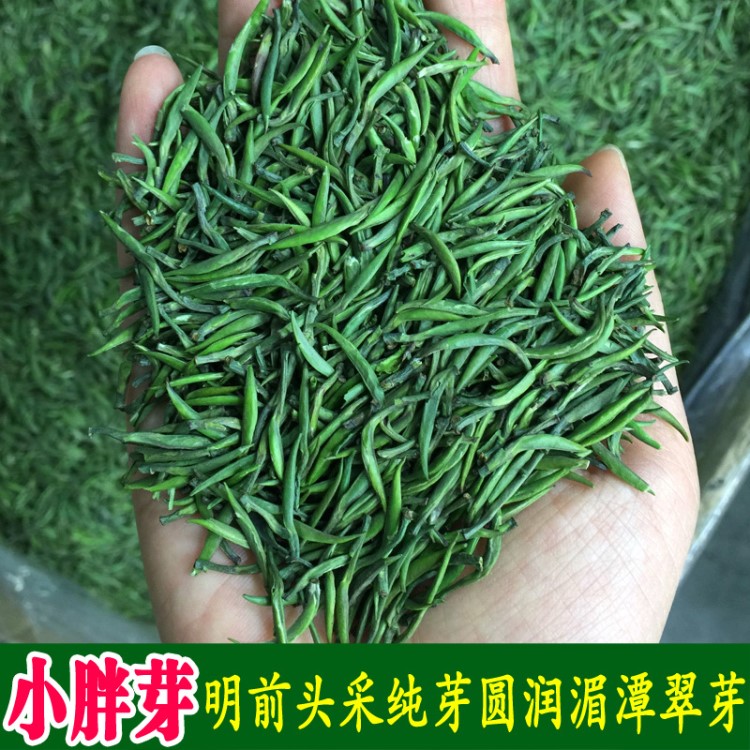 頭采 湄潭翠芽 貴州 明前一級(jí) 散裝 青針雀舌 2019年新綠茶