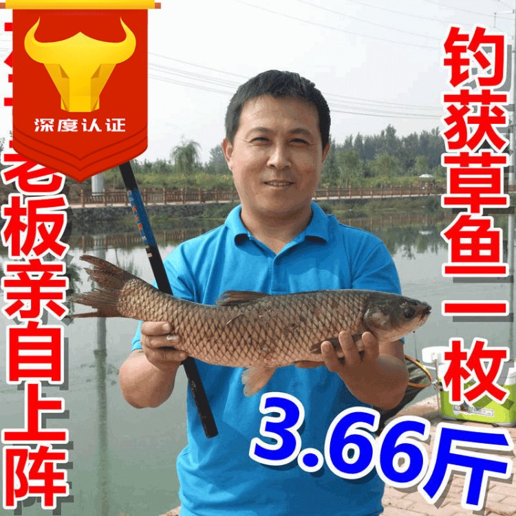 螺紋玻璃鋼37調(diào)硬調(diào)溪流竿釣具廠家批發(fā)魚(yú)具手竿供應(yīng)漁具釣魚(yú)竿