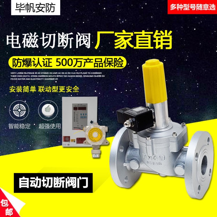 工業(yè)商用報警器自動緊急切斷電磁閥煤氣燃?xì)馓烊粴怆姶徘袛嚅y防爆