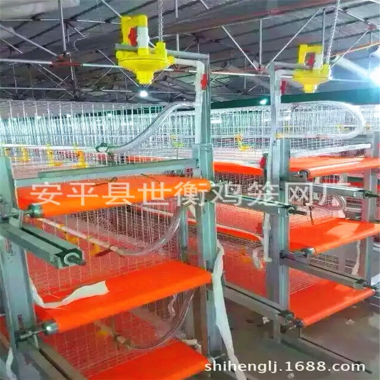 全自動肉雞籠 立體式自動出糞雞籠 全套設備
