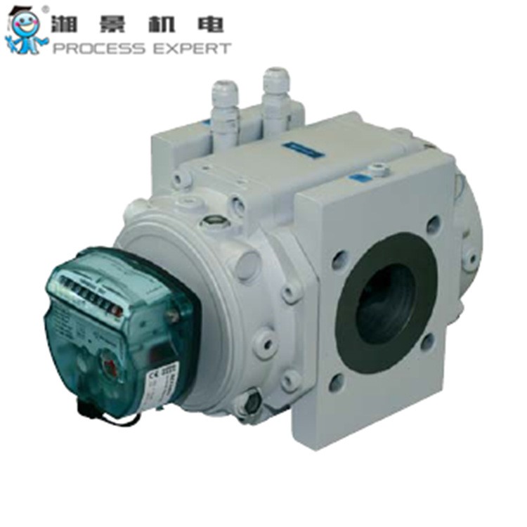 itron埃創(chuàng) Delta Rotary Meter 腰輪流量計(jì)