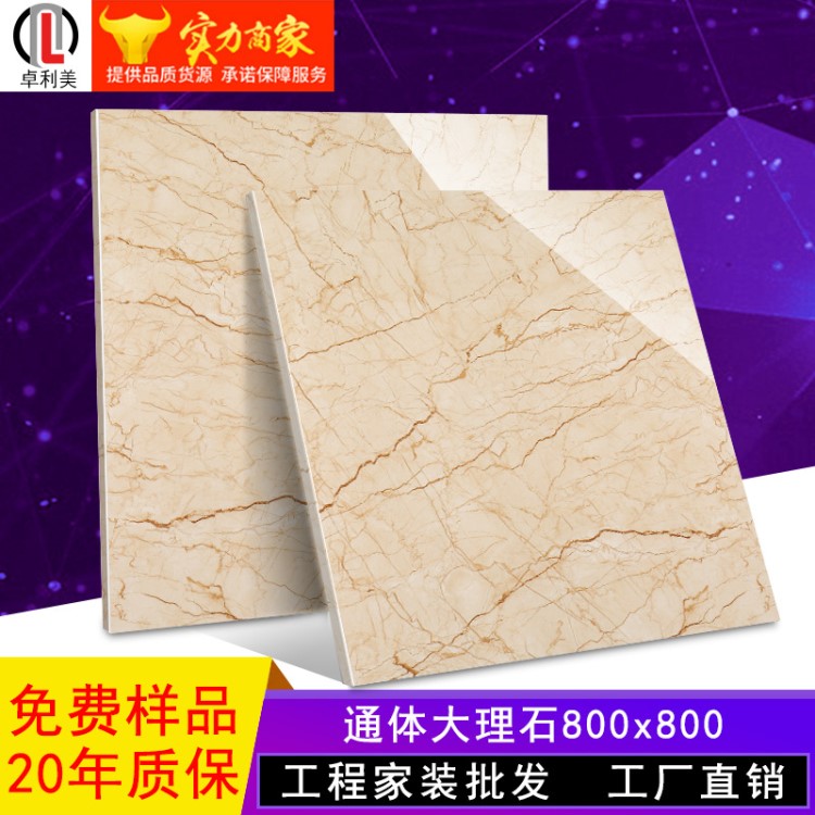 廣東品牌瓷磚 負離子通體大理石瓷磚800*800新款客廳防滑地磚墻磚