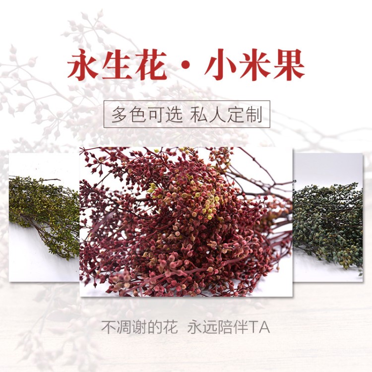 永生花小米果干花仿真花花材批發(fā)diy 廠家直銷干花仿真花保鮮花