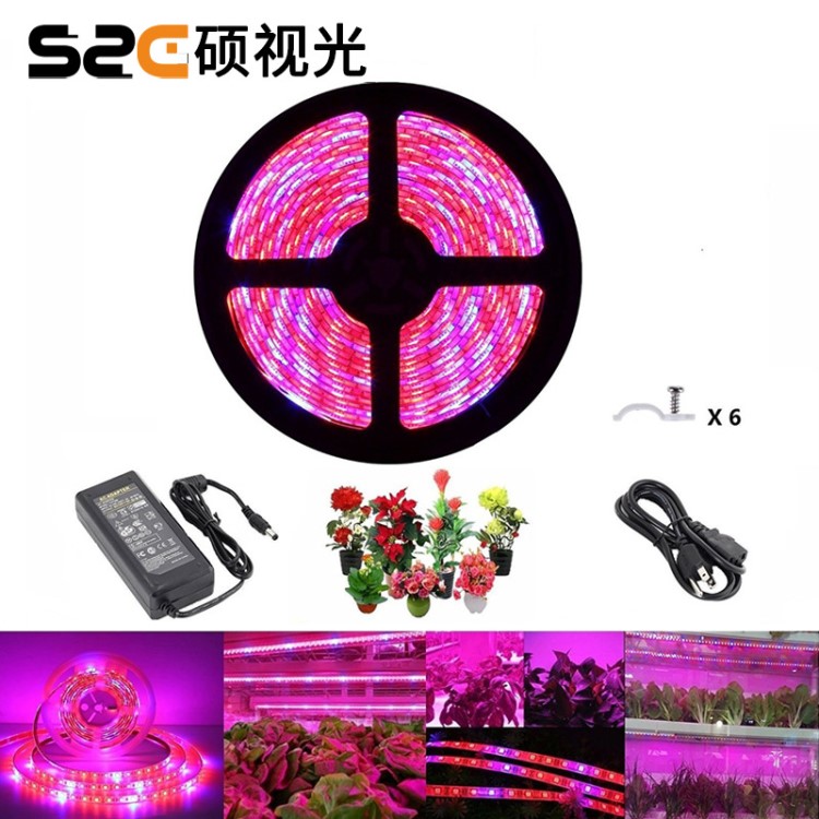 植物燈條燈帶 5050三紅一藍 60燈一米 低壓滴膠 植物鋪助照明燈
