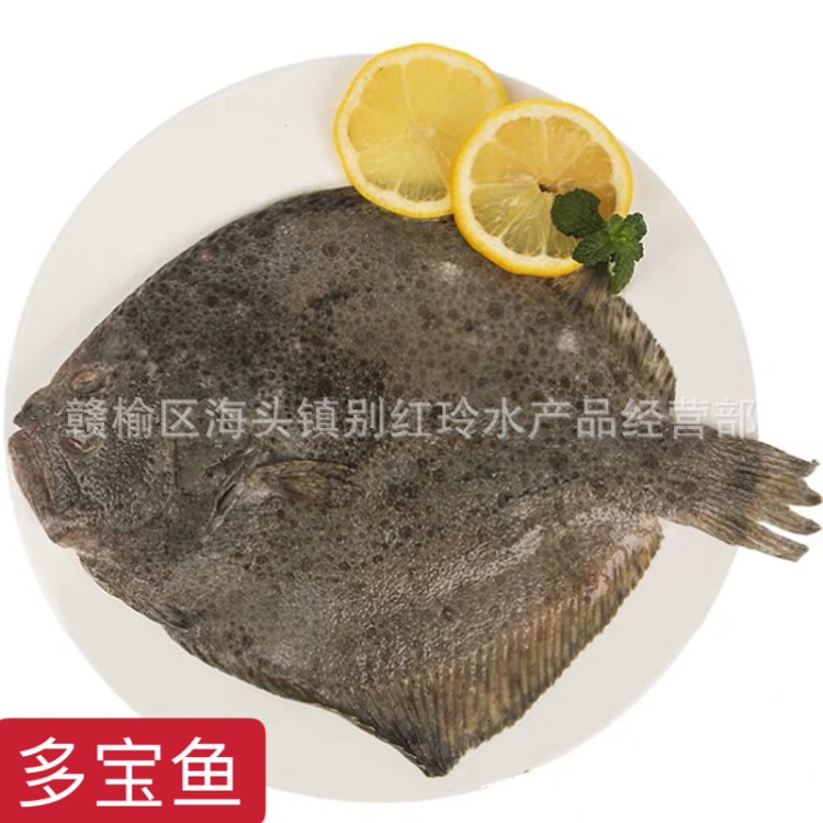 連云港批發(fā)各類海鮮大量供應(yīng)各種規(guī)格多寶魚野生石江魚鮮活大菱鲆