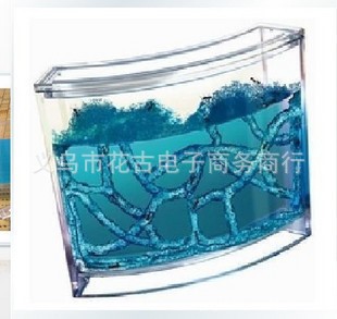 超高透明度 螞蟻國 生態園藝 （大號螞蟻工坊）兒童玩具