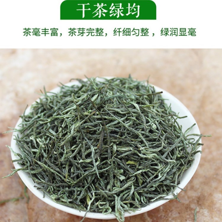 信陽毛尖2019新茶葉明前特級嫩芽綠茶散裝自產(chǎn)自銷500g