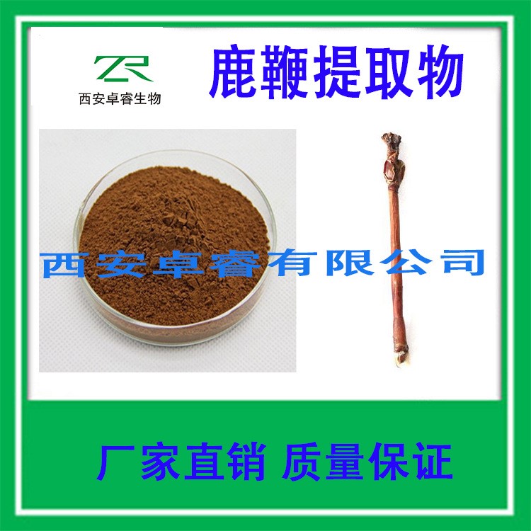 廠家直銷 鹿鞭提取物10:1天然提取 養(yǎng)生保健原料 增強(qiáng)身體素質(zhì)