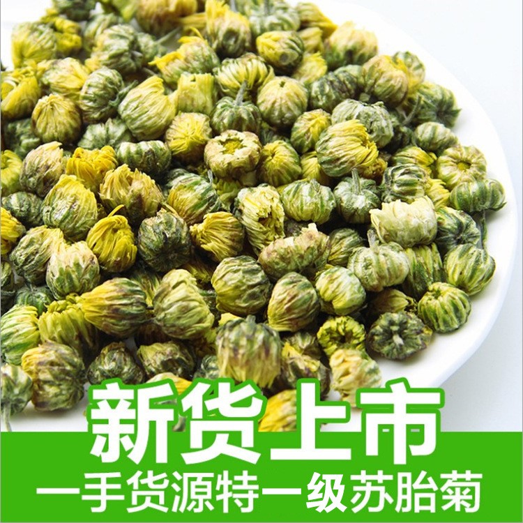 銀蝶菊花茶杭白菊 花草茶江蘇 胎菊散裝批發(fā)胎菊 菊花 產(chǎn)地廠家