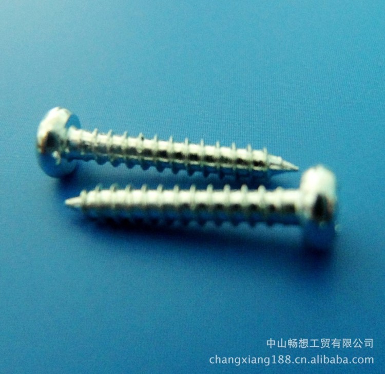 現貨供應加硬圓頭尖尾自攻螺釘2*10  LED日光燈頭專用