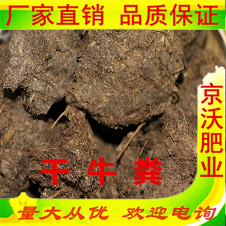 牛粪厂家批发发酵牛粪|牛粪干|牛粪块|双孢菇专用牛粪