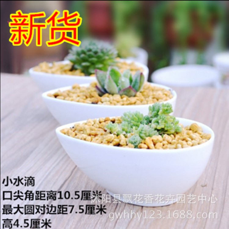 批發(fā)多肉植物花盆陶瓷多肉盆創(chuàng)意盆個(gè)性陶瓷肉肉植物花盆粗陶花盆